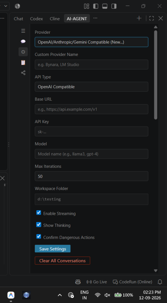 CodeRun Provider Settings Form